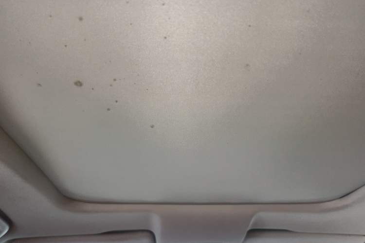 Used GAC Trumpchi GS8 2017 320T Two-Wheel Drive Luxury Smart Connectivity Version (7 Seats) Headliner