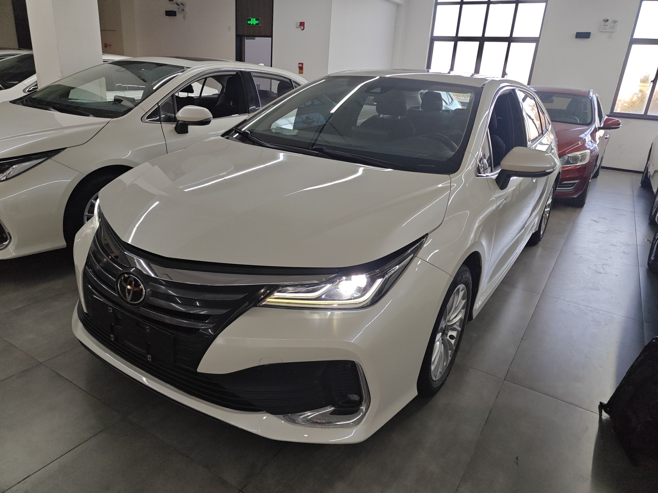 تحت مقدمة السيارة