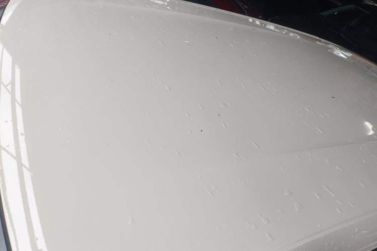 Used BYD Seagull 2023 Free Edition
