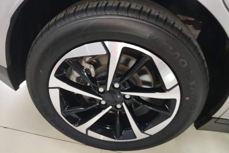 Used AION Y 2024 Plus 510 Intelligent Driving Version