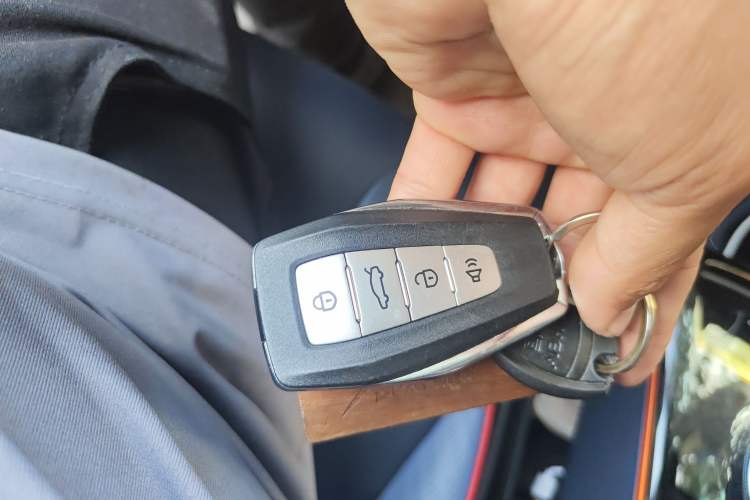 Used Geometry E Firefly 2023 401KM Linglong Tiger 5-Seater
