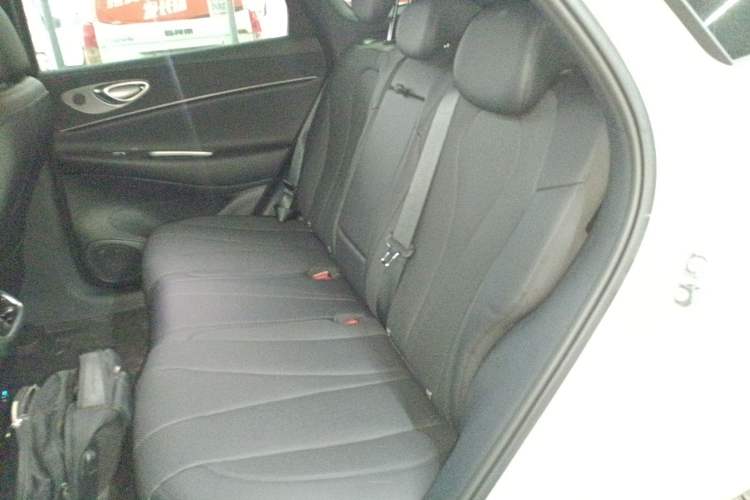 Used BYD Sealion 06 New Energy 2025 Model DM-i 170 Navigation Pro Edition Left Rear Seat