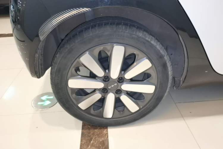 Used ORA Black Cat 2019 351 km Family Edition
