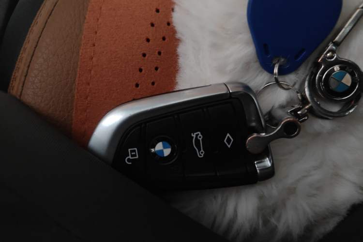 Used BMW 5 Series 2018 528Li Launch Special Edition
