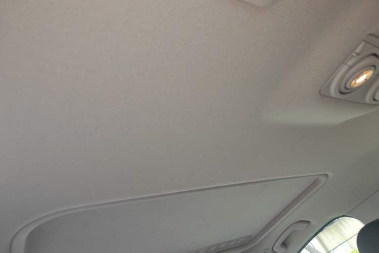 Used BMW 3 Series 2018 320Li Leading Model M Sport Package Headliner