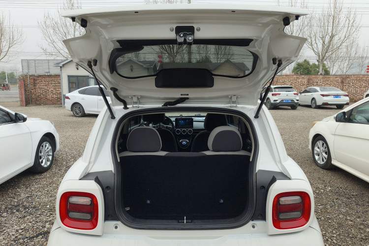 Used ORA Black Cat 2021 301 km Basic Version