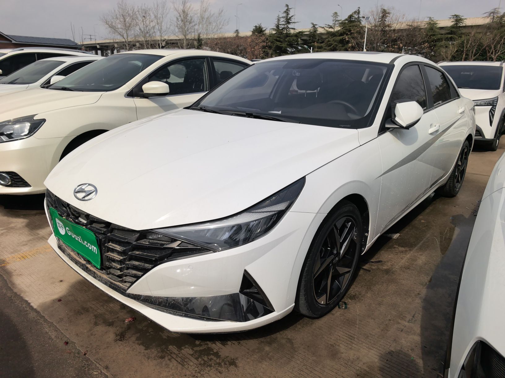 تحت مقدمة السيارة