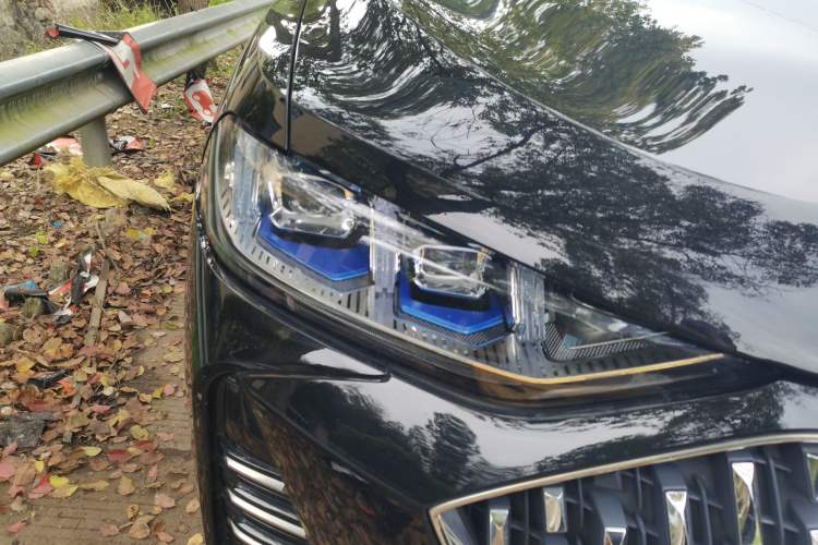 Used Wey Mocha 2021 2.0T Four-Wheel Drive Premium Edition
