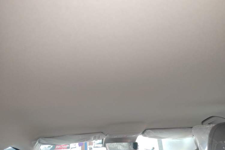 Used Leapmotor B01 2025 430 Comfort Edition Headliner