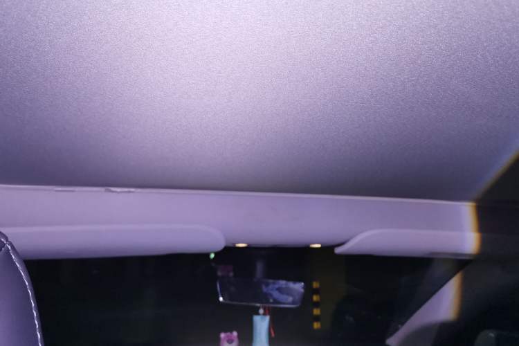 Used Tesla Model Y 2021 Standard Range Rear-Wheel Drive Version Headliner