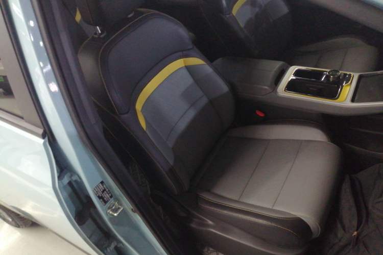 Used AION Y 2022 70 Enjoyment Edition Lithium Iron Phosphate