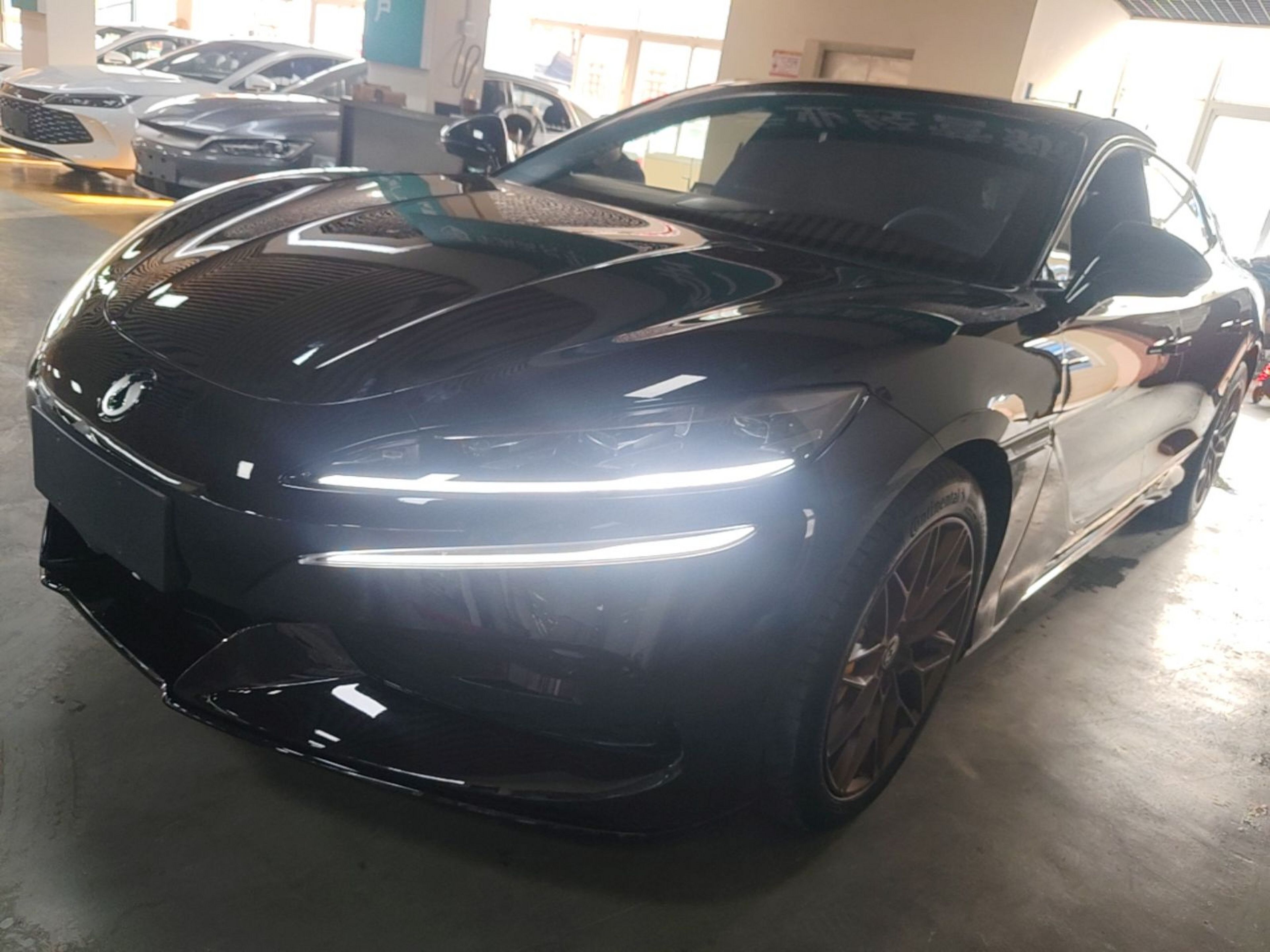 Under Front Bumper