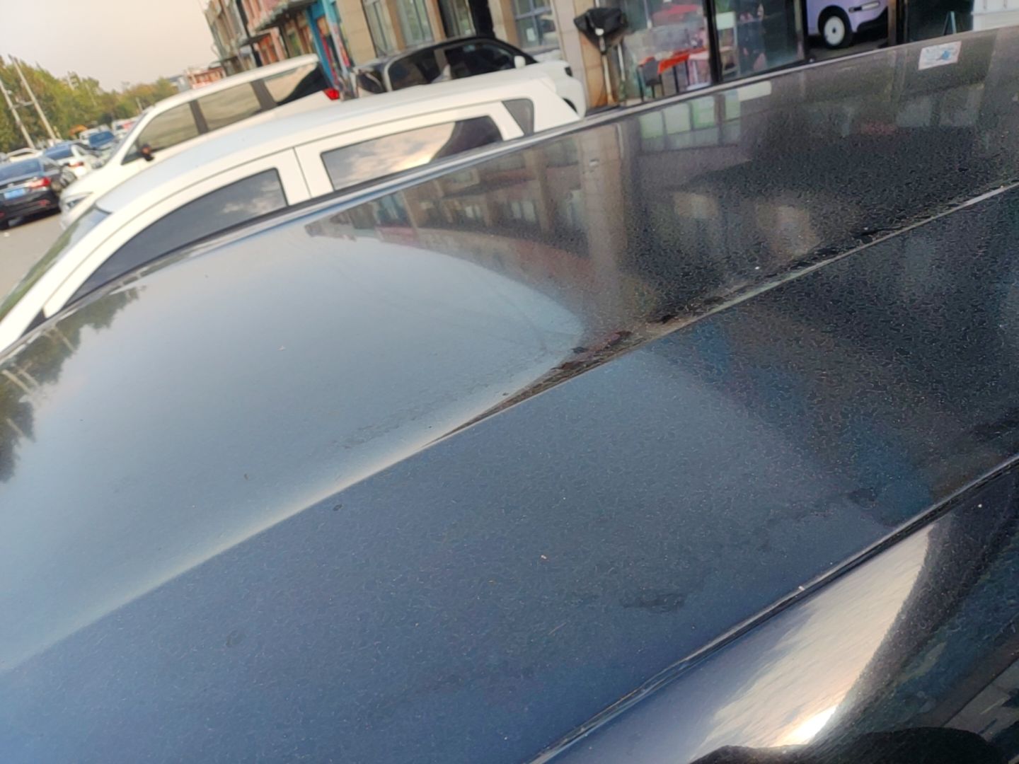 BYD Seagull 2023 Free Edition — снимка 7