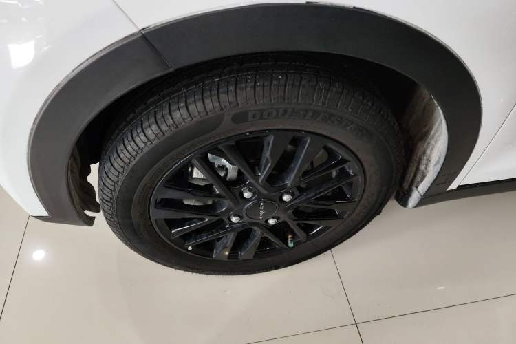 Used Chery Little Ant 2024 251km True Love Edition