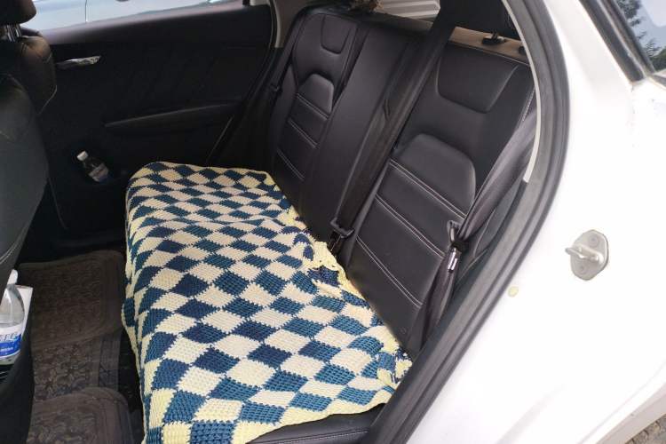 Used BYD e2 2019 Standard Range Model – Smart & Comfortable Version Left Rear Seat