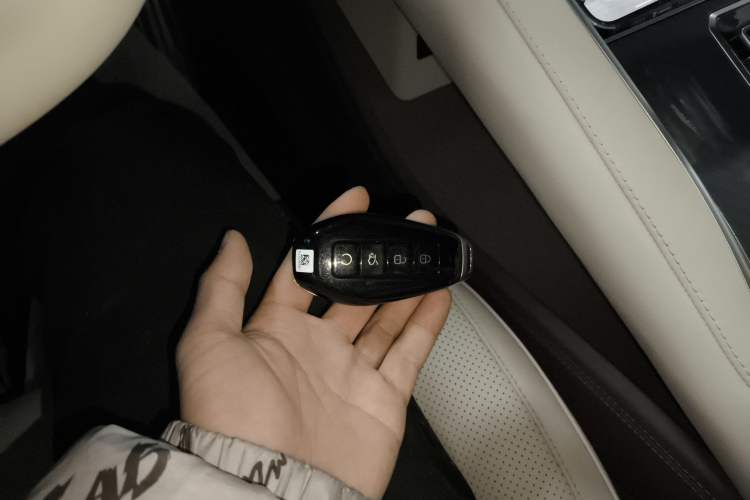 Used Denza Z9 2024 1100 km All-Wheel-Drive Ultra Version
