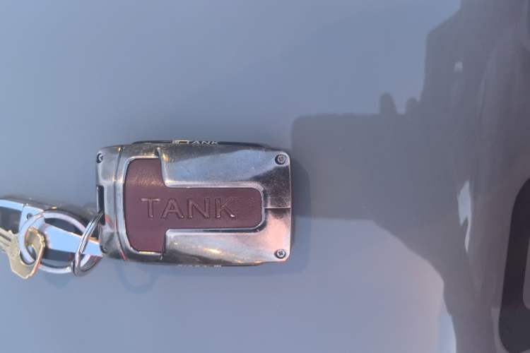 Used Tank 300 2024 2.0T Conqueror