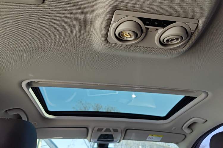 Used BMW 3 Series 2018 320Li Fashion Model Headliner