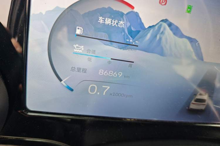 Used Geely Auto Monjaro L 2021 2.0TD DCT EVO Two-Wheel Drive Smart Luxury Version Odometer Close Up