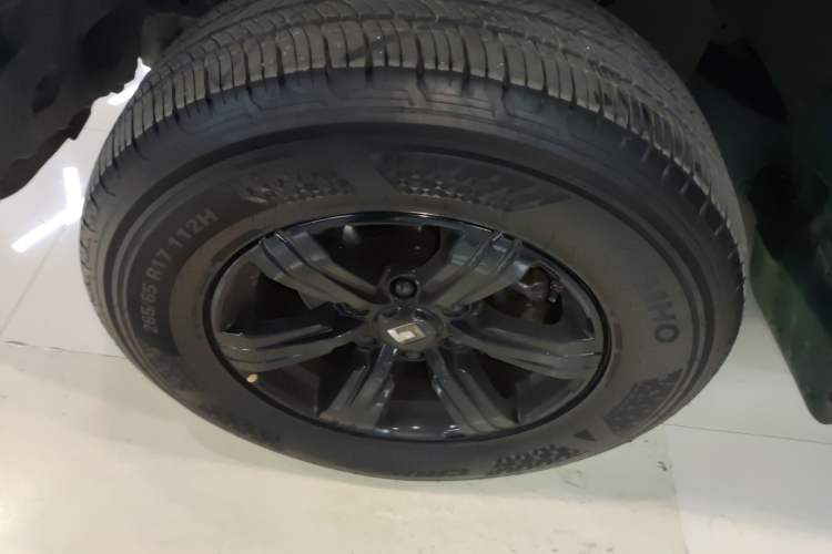 Used Tank 300 2024 2.0T Conqueror