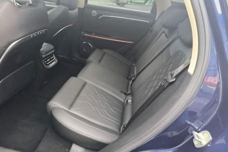 Used VOYAH FREE 2021 Four-Wheel Drive Extended-Range First Edition Commemorative Edition Exclusive Luxury Package Left Rear Seat