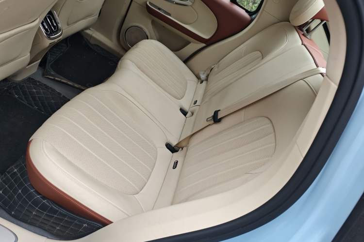 Used ORA Ballet Cat 2023 401 km Luxury Version