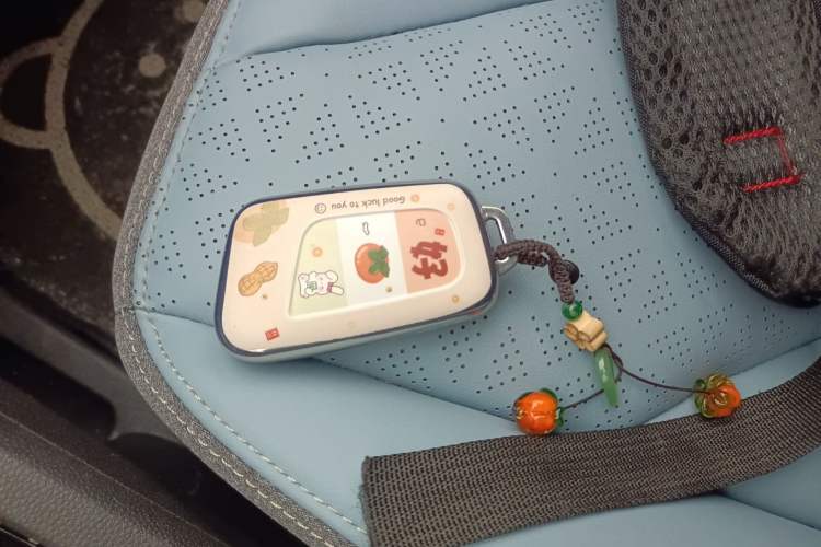 Used Chery QQ Little Ant 2022 Sweet Pink Edition Half-Sugar Version Lithium Iron Phosphate 30 kW 301 km Vehicle Key