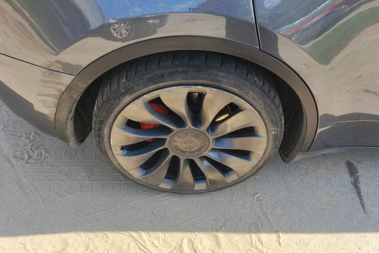 Used Tesla Model Y 2022 Performance High-Performance All-Wheel-Drive Version