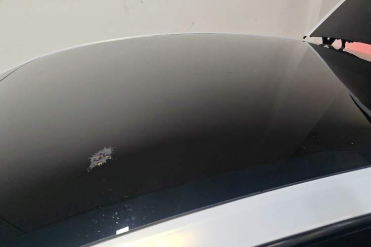 Used Tesla Model Y 2023 Rear-Wheel-Drive Version Roof