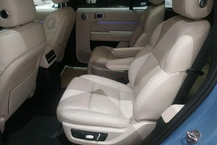 Used Li Auto L9 2022 Max model Left Rear Seat
