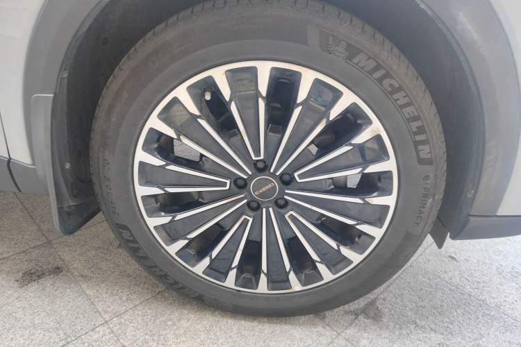 Used EXEED Stellar 2023 400T Four-Wheel Drive Enjoying the Flying Fish Edition
