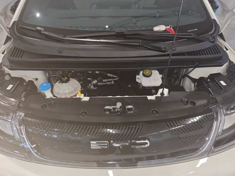 Used BYD Dolphin 2023 420 km Free Version — 19