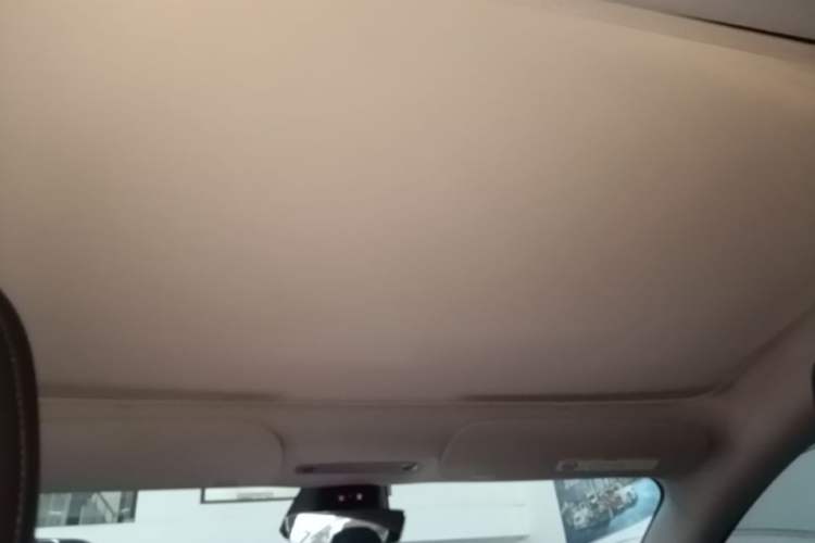 Used Tesla Model 3 2023 Rear-Wheel-Drive Version Headliner