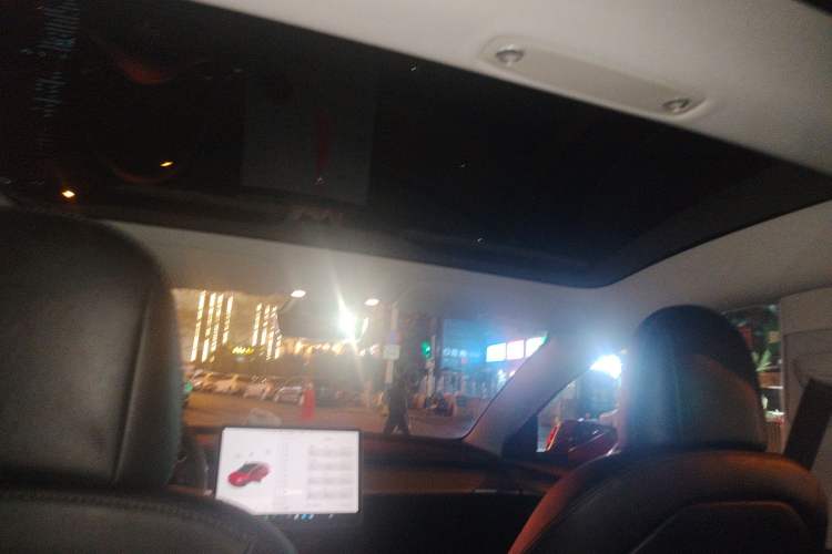 Used Tesla Model 3 2021 Standard Range Rear-Wheel Drive Upgraded Version 3D6 Headliner