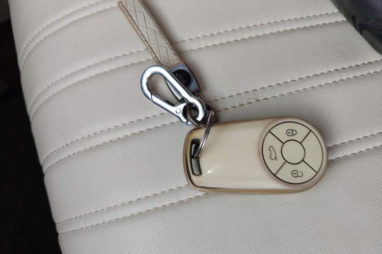 Used ORA Good Cat 2023 401 km Standard Range Premium Trim Ternary Lithium Vehicle Key