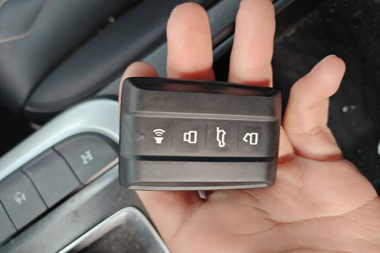 Used Tank 300 2021 Off-Road Edition 2.0T Challenger