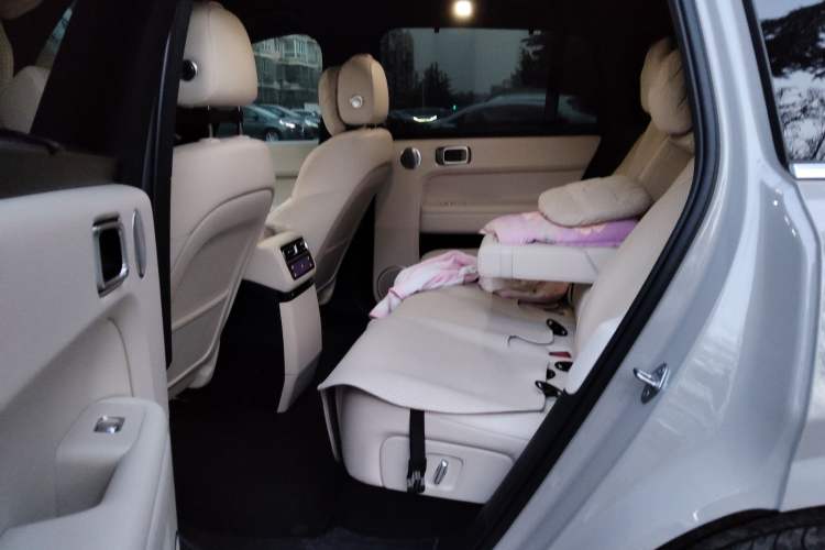 Used Li Auto L6 2024 Max Left Rear Seat