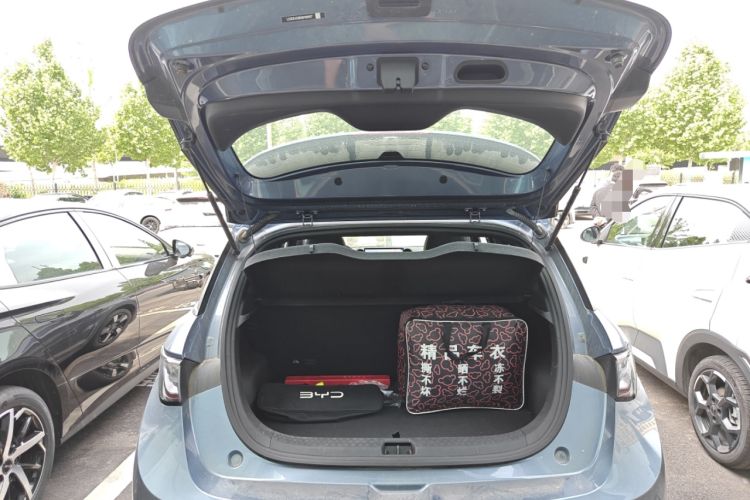 Used BYD Dolphin 2025 Intelligent Driving Version 410 km Fashion Edition Trunk