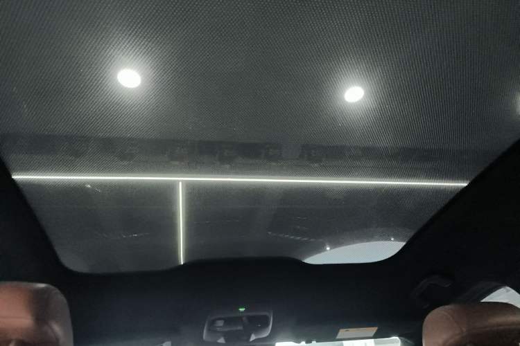 Used Nio EC6 2020 615 km Performance Edition Headliner