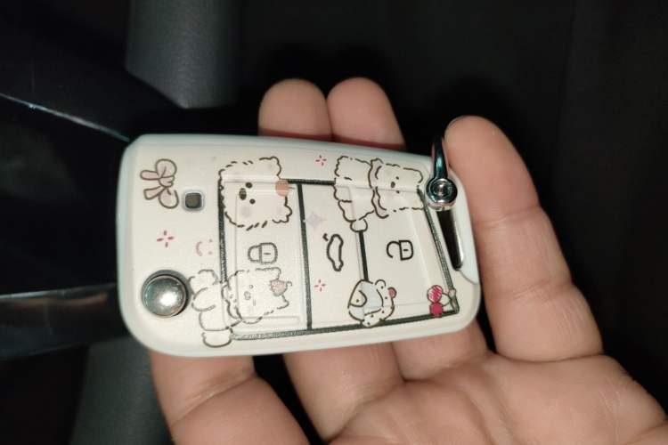 Used Volkswagen Polo 2021 Plus 1.5L Automatic Colorful Tech Edition Vehicle Key