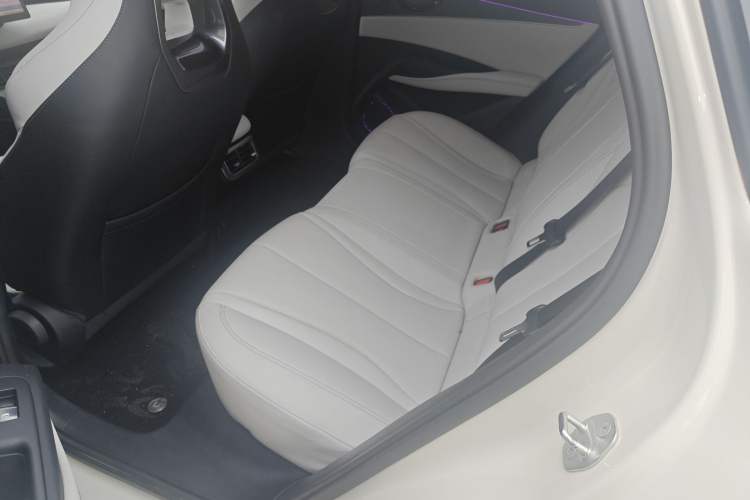 Used BYD Seal 06 New Energy 2024 DM-i 80KM Luxury Model Left Rear Seat