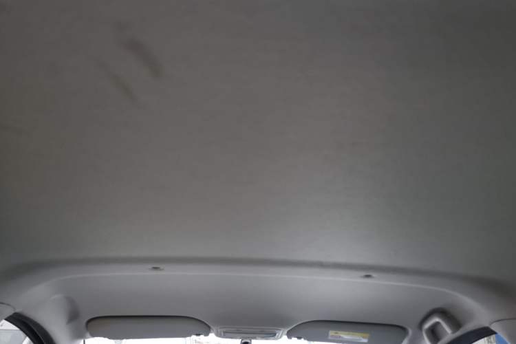 Used SOL E10X 2022 Flower Fairy Design Sunflower Headliner