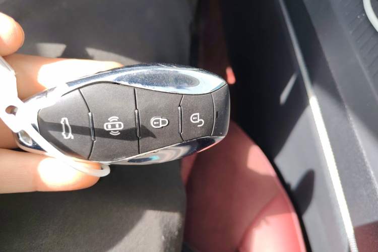 Used Hongqi HS5 2023 2.0T Four-Wheel Drive Flagship Pro Edition
