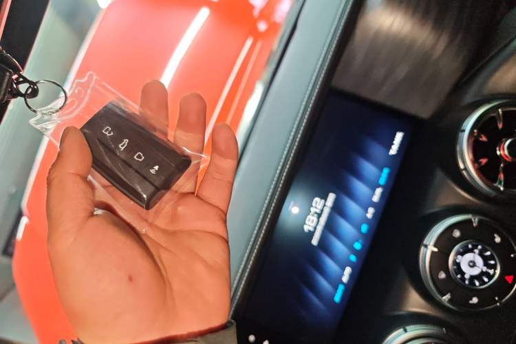 Used Tank 300 2024 2.0T Conqueror
