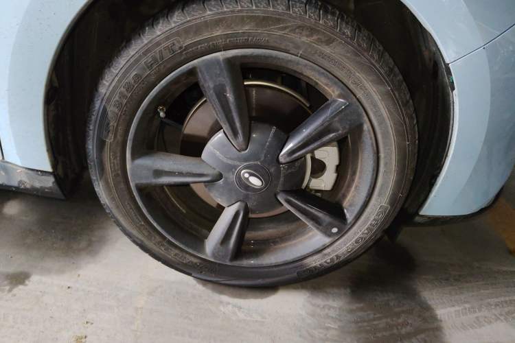 Used ORA Good Cat 2024 501 km Luxury Version