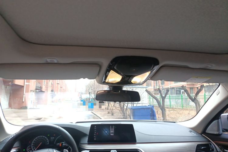 Used BMW 5 Series 2019 530Li Leading Model Luxury Package Headliner