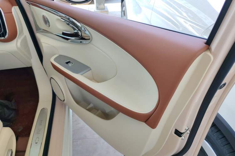 Used ORA Ballet Cat 2023 401 km Luxury Version