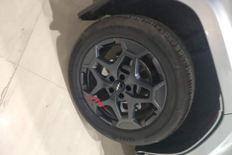 Used Formula Leopard Tai 7 2025 Model 190 km Four-Wheel Drive Ultra Edition