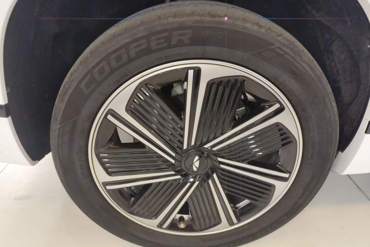 Used Chery Fengyun T10 2024 210 Luxury Edition
