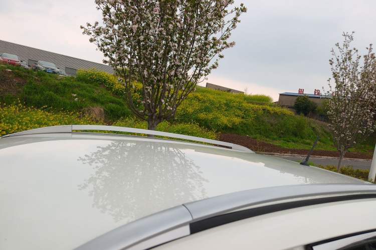 Used Nissan Qashqai 2022 2.0L CVT XV Smart Enjoyment Version
